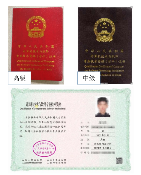 计算机技术与软件专业技术资格高级证书样张